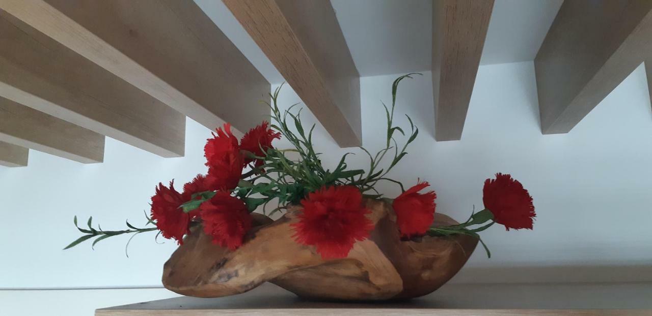 Vila Mojca Apartments Jasna & Jelka Kranjska Gora Zewnętrze zdjęcie